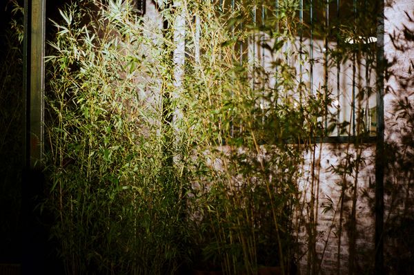 © Caterina Sansone - Image from the The quality of dreams photography project