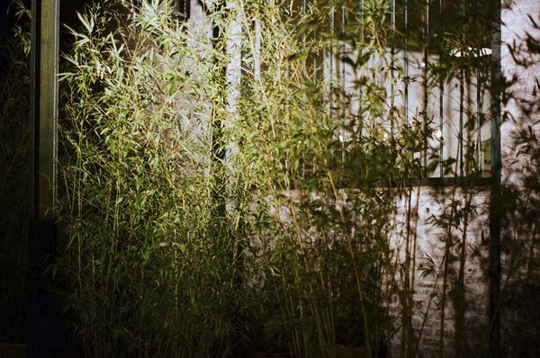 © Caterina Sansone - Image from the The quality of dreams photography project