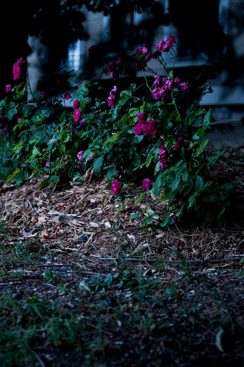 © Caterina Sansone - Image from the The quality of dreams photography project