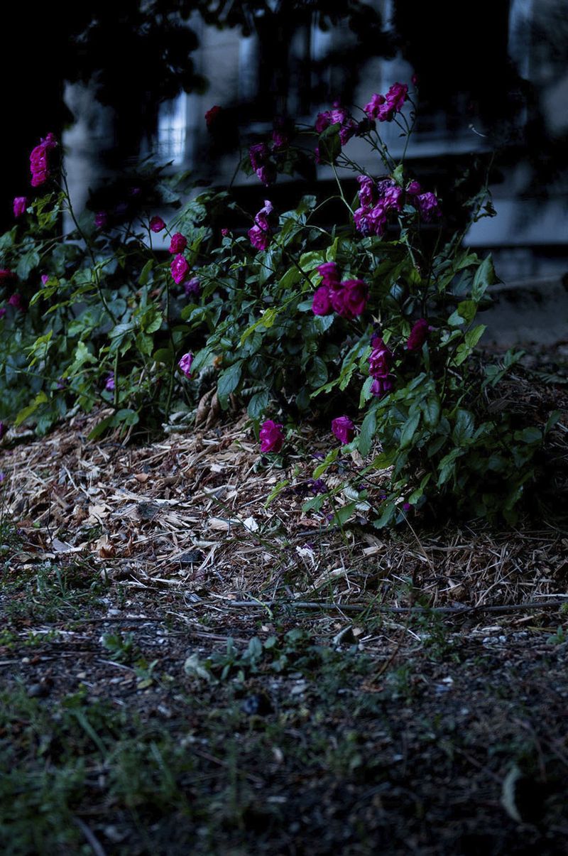 © Caterina Sansone - Image from the The quality of dreams photography project