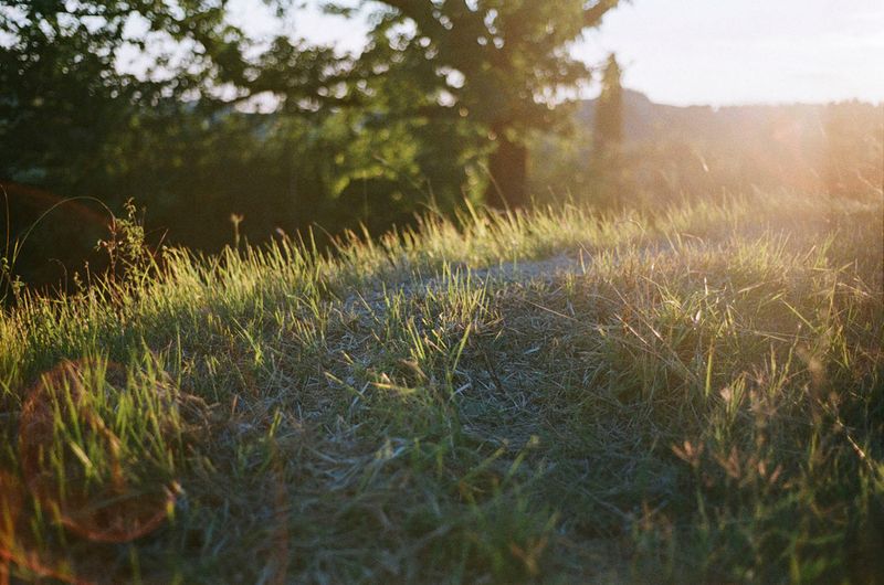 © Caterina Sansone - Image from the The quality of dreams photography project