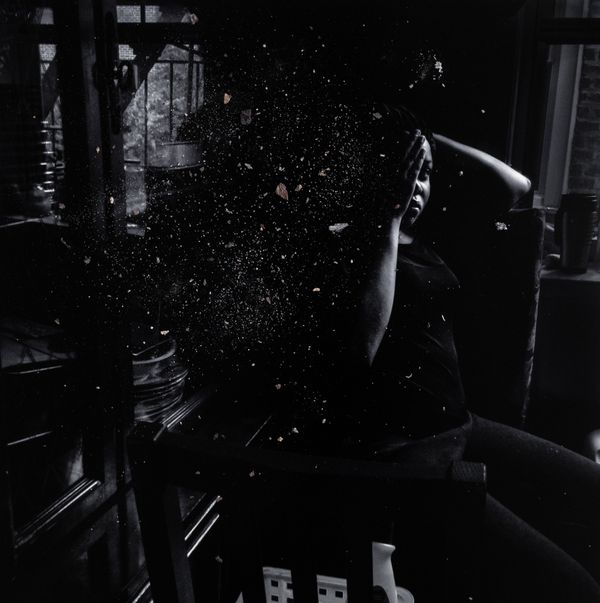 © Emily Schiffer - Dust to Dust