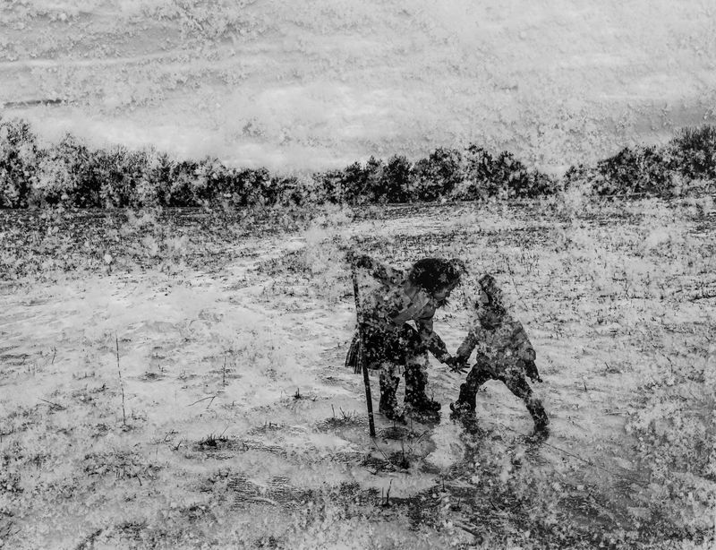 © Emily Schiffer - Snow