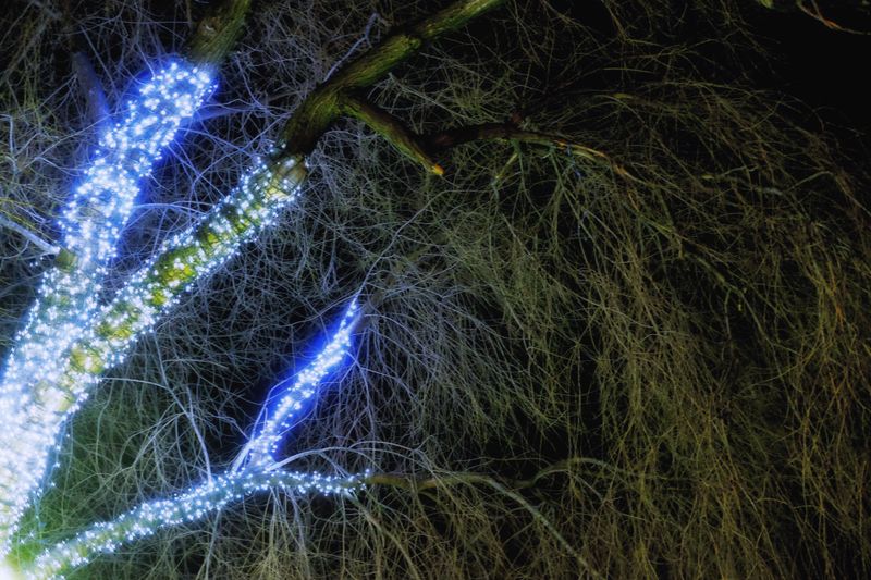 © Davide Palmisano - Image from the Zero Dark Moscow photography project