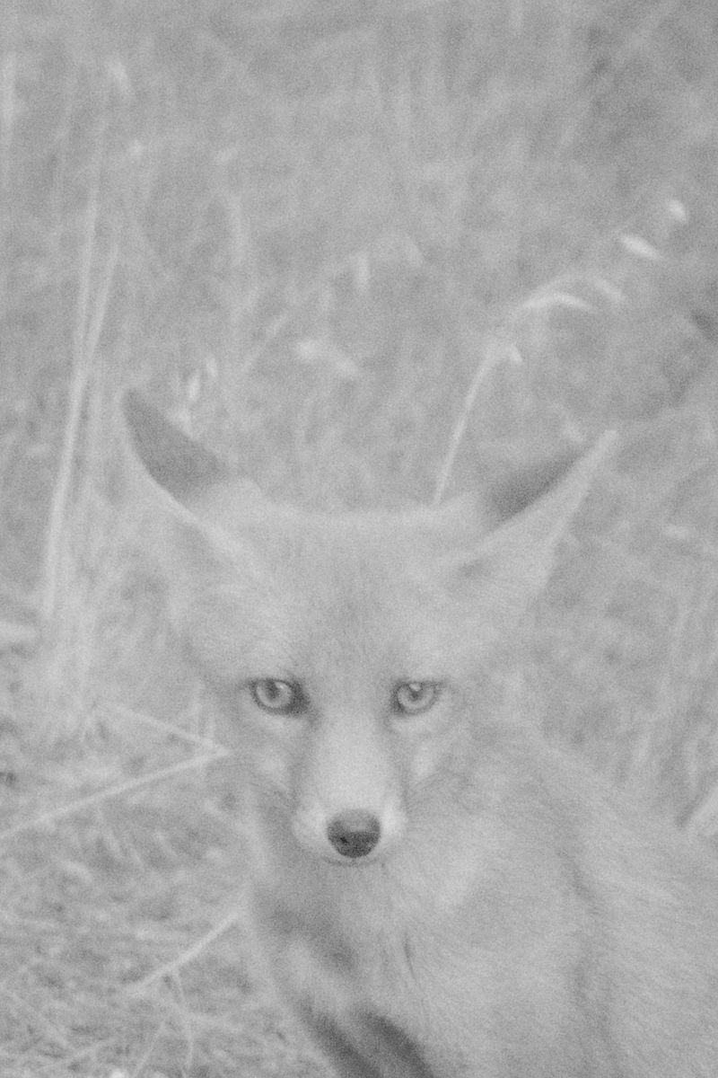 © Cinzia Laliscia - Image from the Sleepless Lullaby photography project