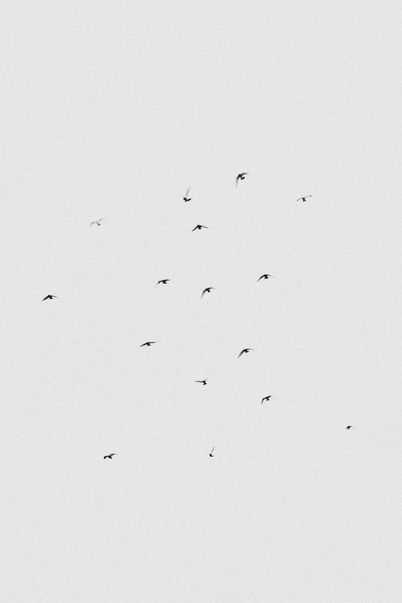 © Cinzia Laliscia - Image from the Sleepless Lullaby photography project