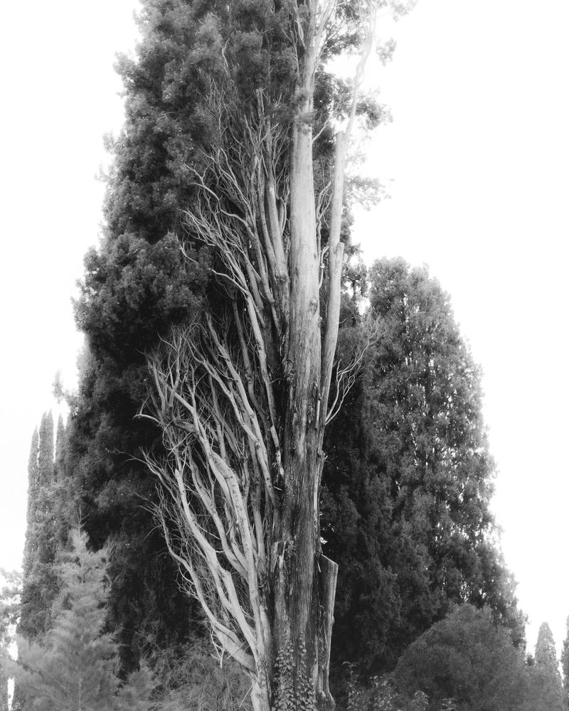 © Cinzia Laliscia - Image from the Sleepless Lullaby photography project