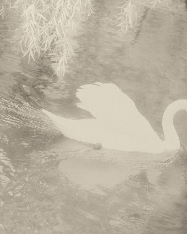 © Cinzia Laliscia - Image from the Finalmente posso andare photography project