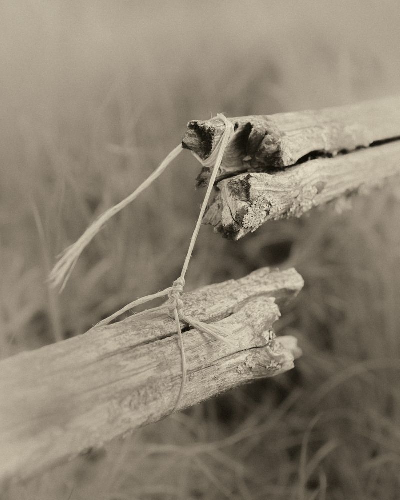 © Cinzia Laliscia - Image from the Finalmente posso andare photography project