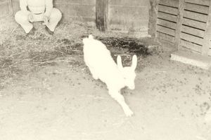 Finalmente posso andare