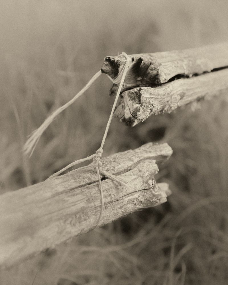 © Cinzia Laliscia - Image from the Finalmente posso andare photography project