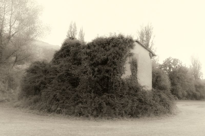 © Cinzia Laliscia - Image from the Finalmente posso andare photography project