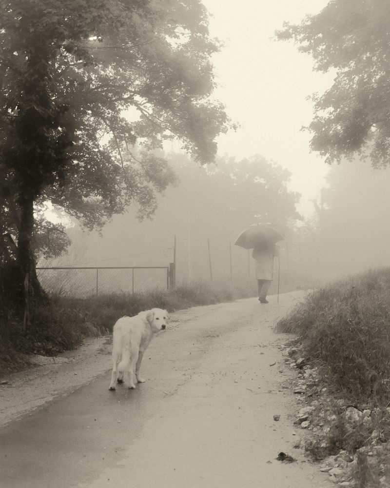 © Cinzia Laliscia - Image from the Finalmente posso andare photography project