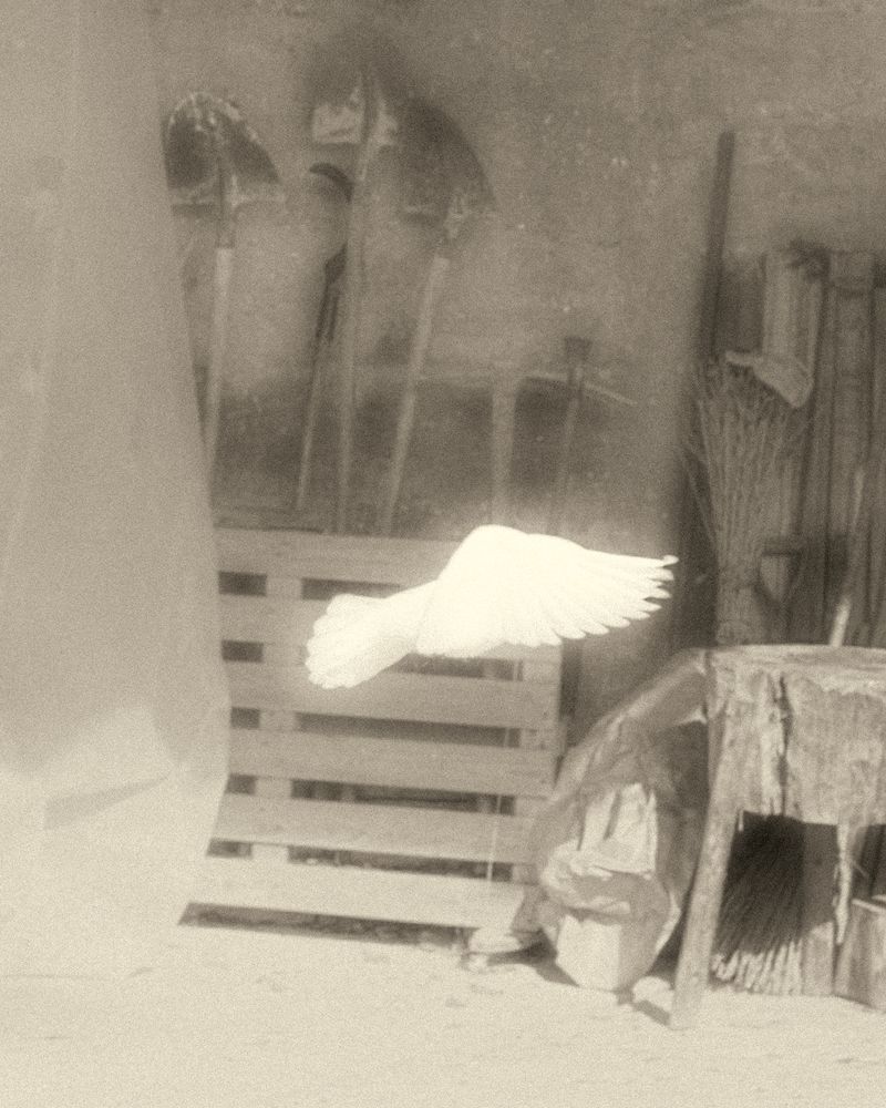 © Cinzia Laliscia - Image from the Finalmente posso andare photography project