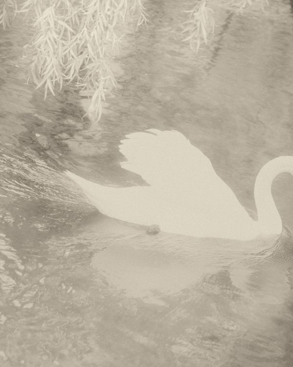 © Cinzia Laliscia - Image from the Finalmente posso andare photography project