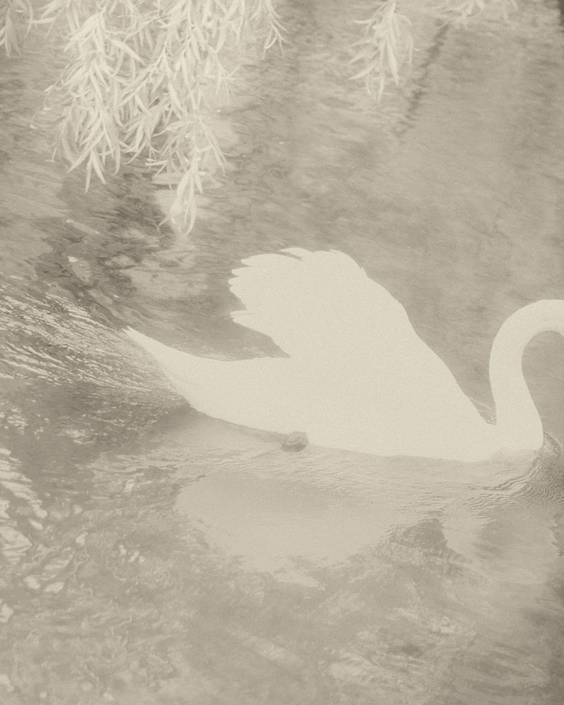 © Cinzia Laliscia - Image from the Finalmente posso andare photography project