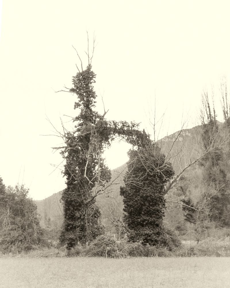 © Cinzia Laliscia - Image from the Finalmente posso andare photography project