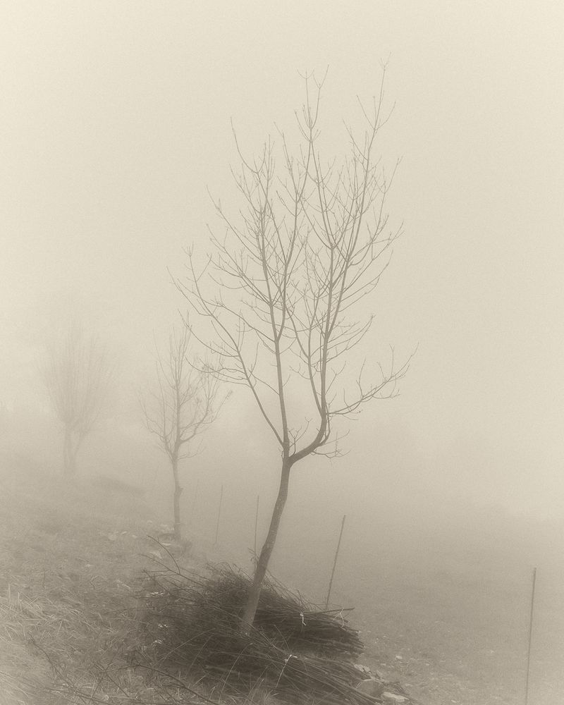 © Cinzia Laliscia - Image from the Finalmente posso andare photography project