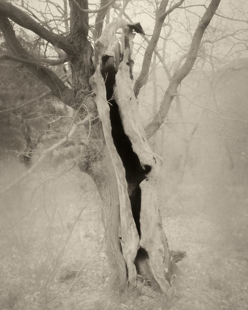 © Cinzia Laliscia - Image from the Finalmente posso andare photography project
