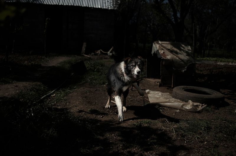 © Vancon Laetitia - Image from the My Home, My Prison photography project