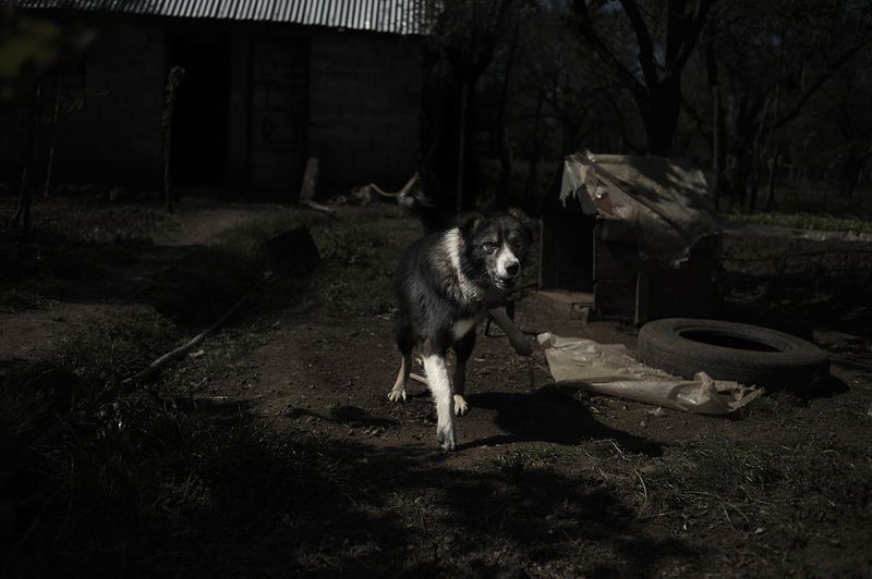 © Vancon Laetitia - Image from the My Home, My Prison photography project