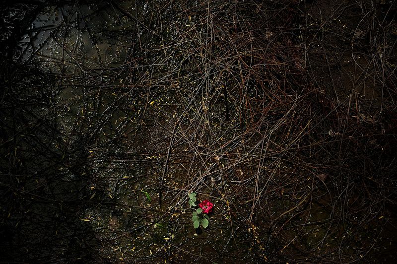 © Vancon Laetitia - Image from the My Home, My Prison photography project