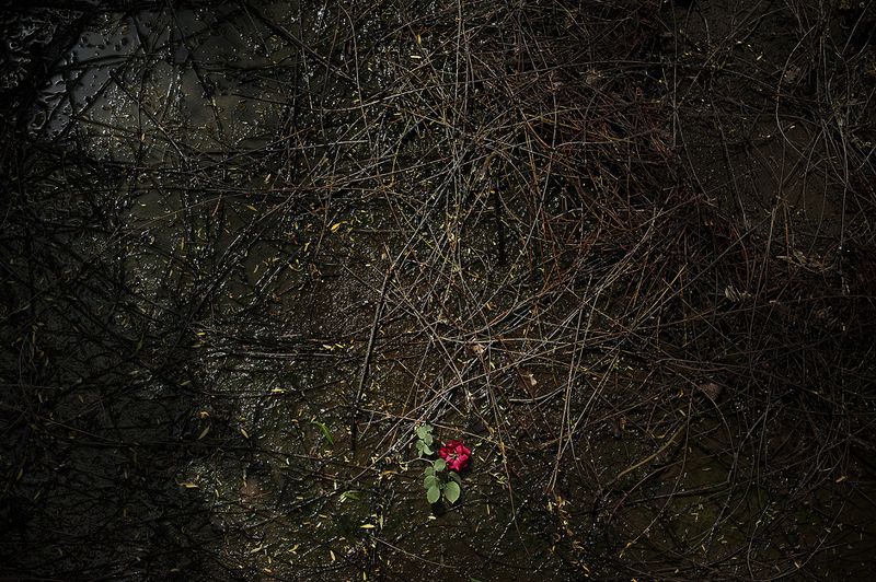 © Vancon Laetitia - Image from the My Home, My Prison photography project
