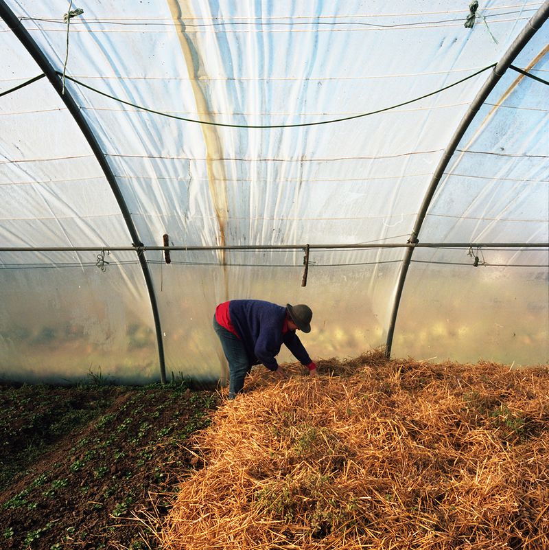 © Cloé Harent - Image from the Le temps d'une pause photography project