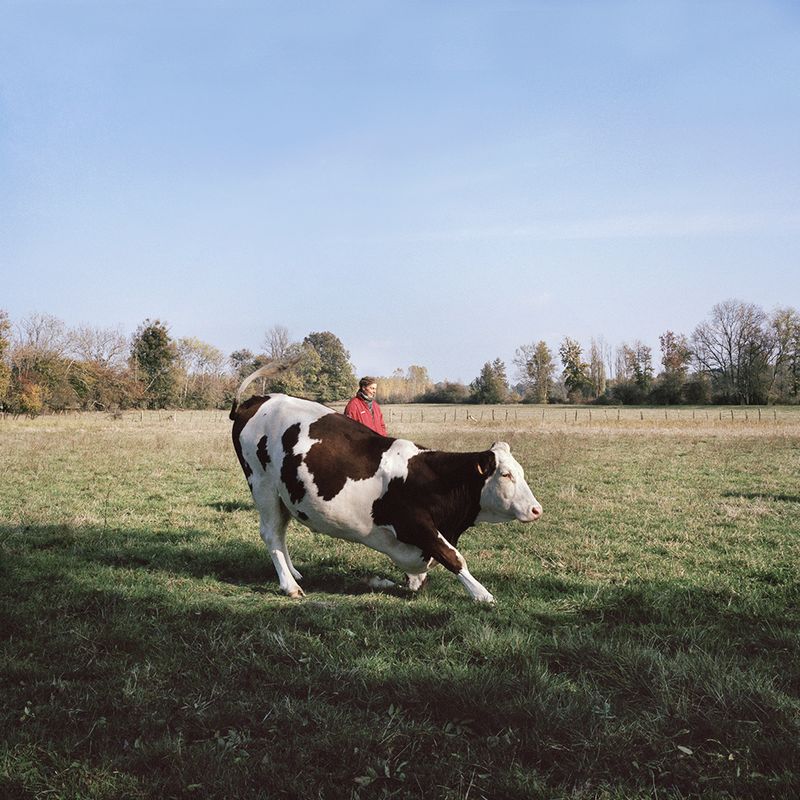 © Cloé Harent - Image from the Le temps d'une pause photography project