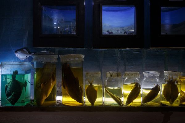 © Iulia Galushina - Image from the Aral for sale photography project