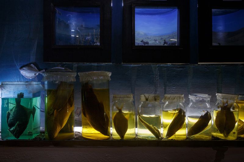 © Iulia Galushina - Image from the Aral for sale photography project