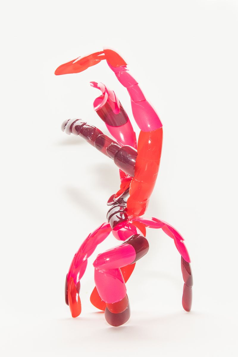 © Joaanna Olichwer - Image from the DO IT T0 YOURSELF photography project