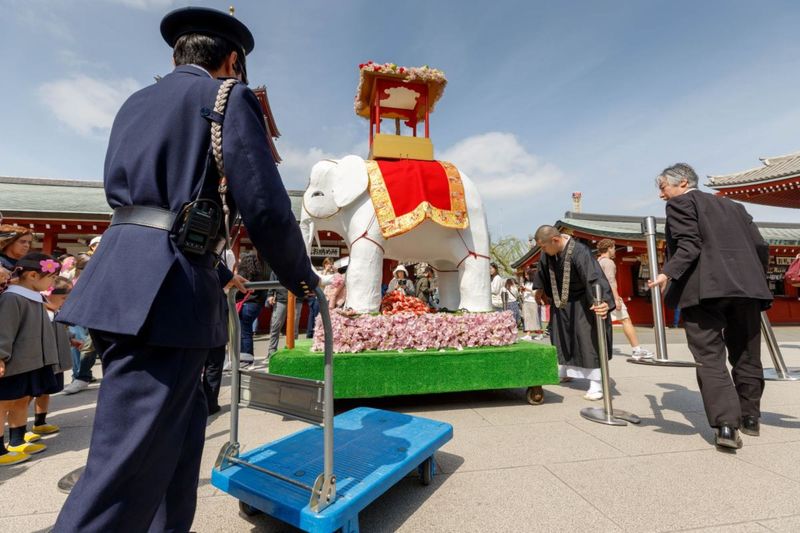 © ROBERTA LODI - "Ceremonial white elephant"  A decorated white elephant used in ritual, embodying spirituality and symbolism.