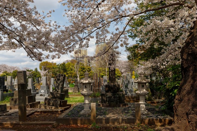 © ROBERTA LODI - Image from the Japan, between sacred and representation photography project