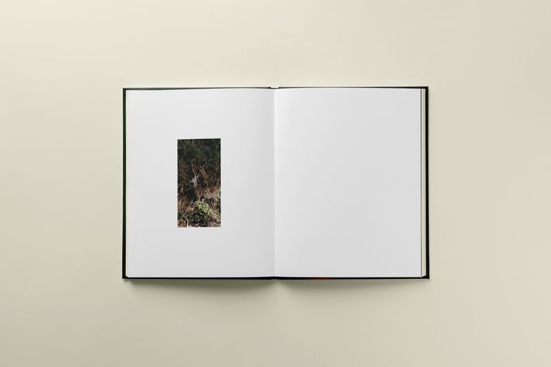 © Romane Bladou - Image from the Pins and Needles photography project