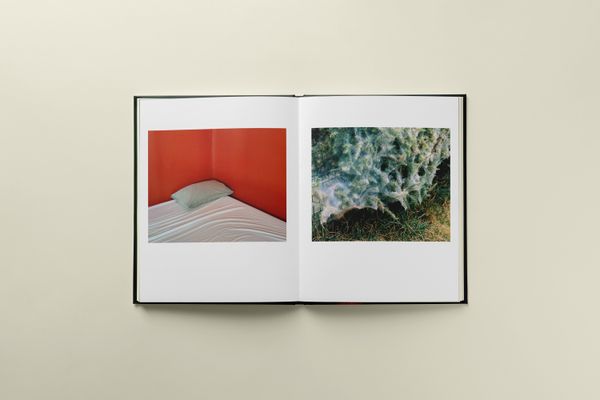 © Romane Bladou - Image from the Pins and Needles photography project