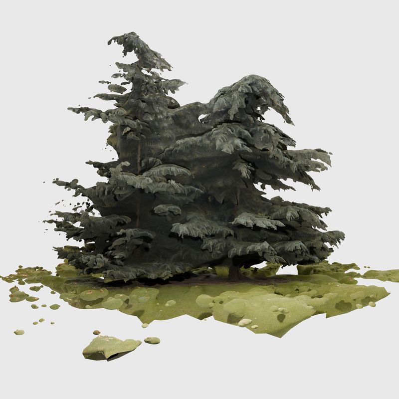 © lom-of-LaMa - Bodies always exist in response (2024)