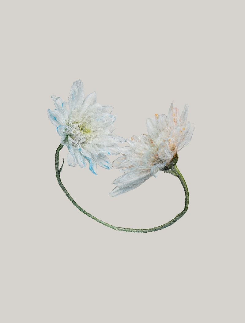 © lom-of-LaMa - Image from the Call Me We photography project