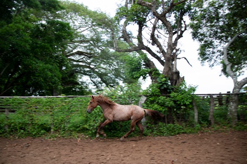 © Juanita Escobar - Image from the Only Suitable For Myself photography project