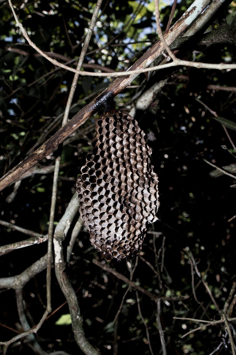 © Juanita Escobar - Image from the Only Suitable For Myself photography project