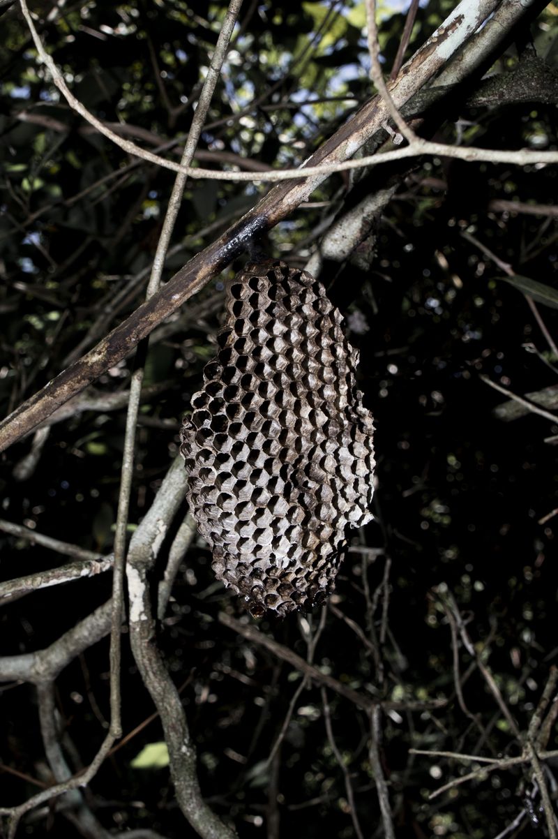 © Juanita Escobar - Image from the Only Suitable For Myself photography project