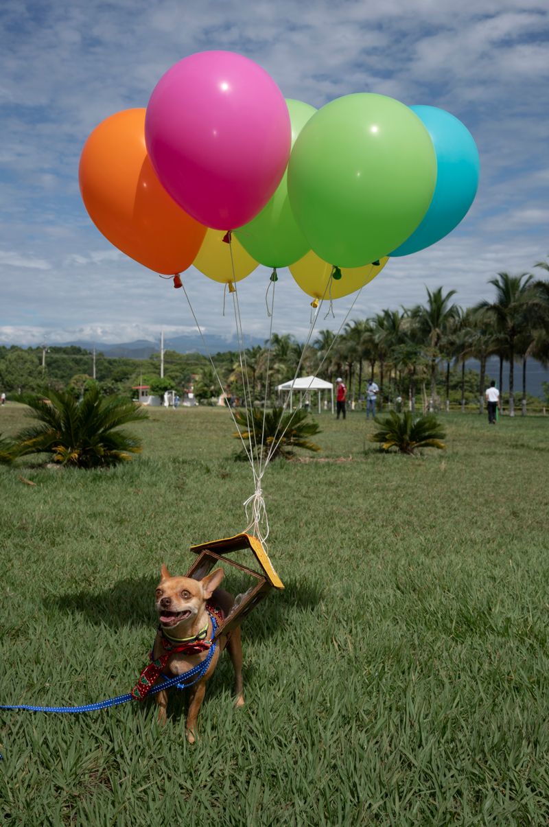 © Juanita Escobar - Image from the Only Suitable For Myself photography project