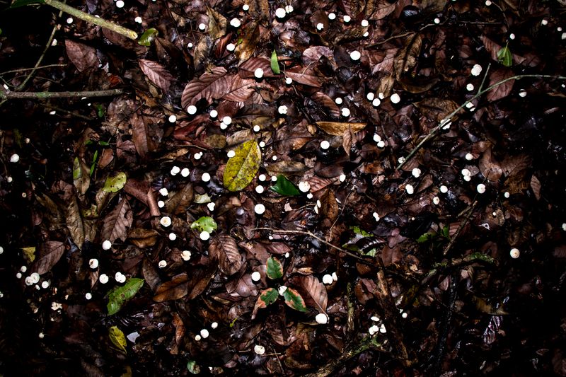 © Juanita Escobar - “I’m so bored, I count my blinks, I count all the little grains of salt.” Sarai