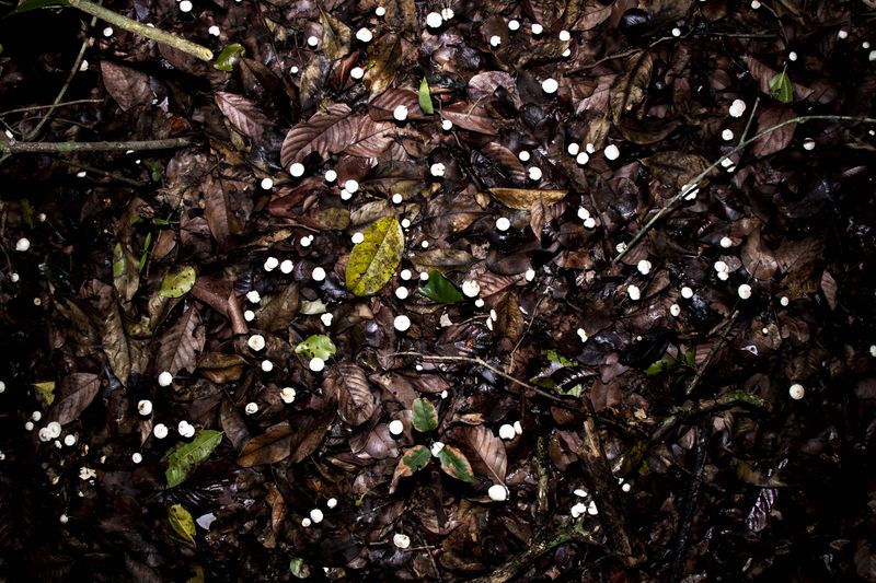© Juanita Escobar - “I’m so bored, I count my blinks, I count all the little grains of salt.” Sarai