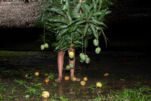 Only Suitable For Myself