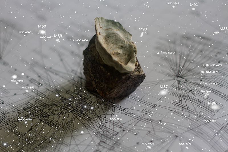 © Marcel Fernandes - Image from the KEPLER-186F photography project