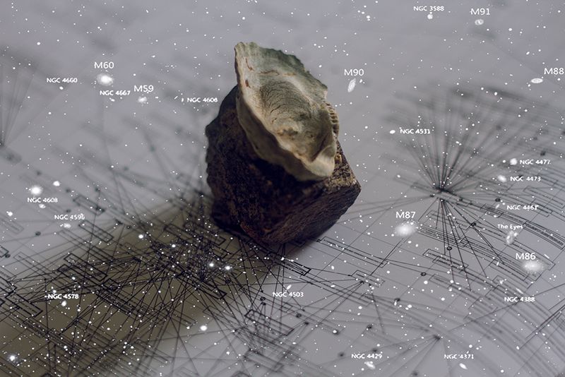 © Marcel Fernandes - Image from the KEPLER-186F photography project