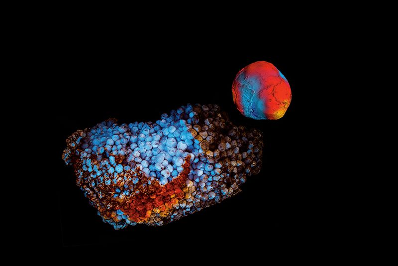 © Marcel Fernandes - Image from the KEPLER-186F photography project