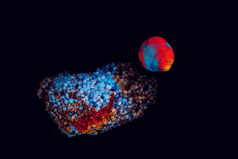 © Marcel Fernandes - Image from the KEPLER-186F photography project