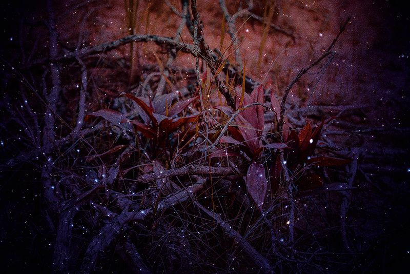 © Marcel Fernandes - Image from the KEPLER-186F photography project